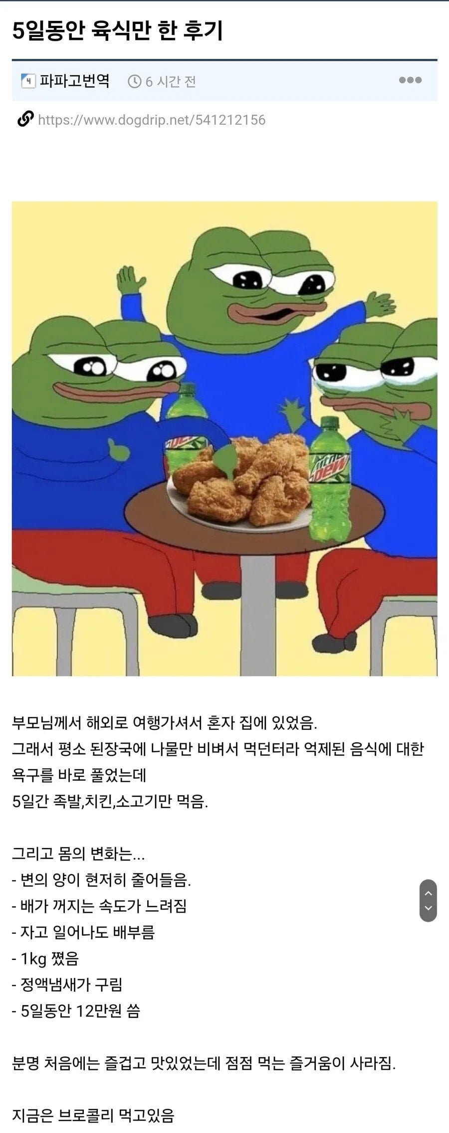 5일동안 육식만 한 후기