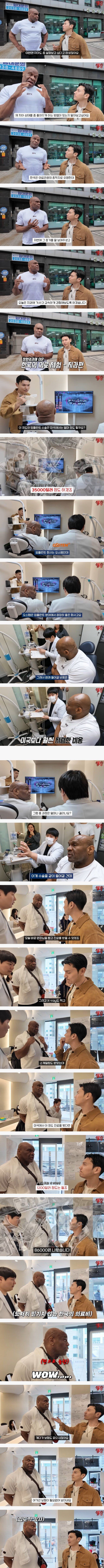 한국 치과 가격에 충격받은 밥샵