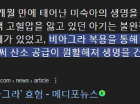 비아그라 근황