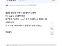 어제 구충제 먹고 잤는데 몸에 ㅈㄴ 힘이 없음