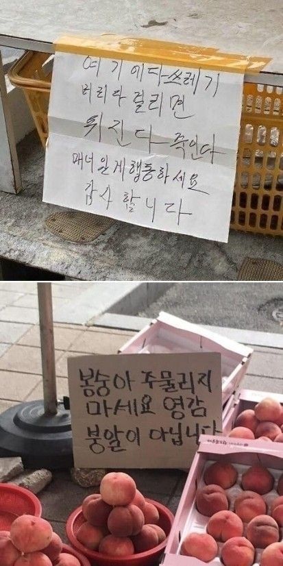 정감가는 펫말들.