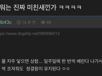 물샤워 하는 새끼들은 진짜 ㅁㅊㄴ들임