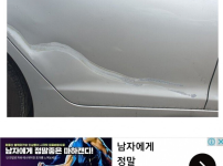 초보운전 차폭 감 잡는법