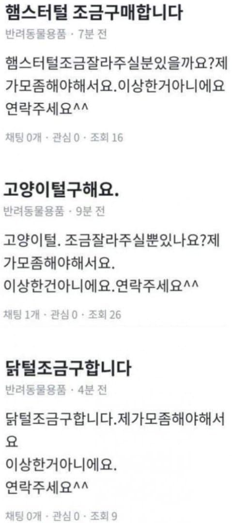 당근마켓에서 재료구하는 마녀