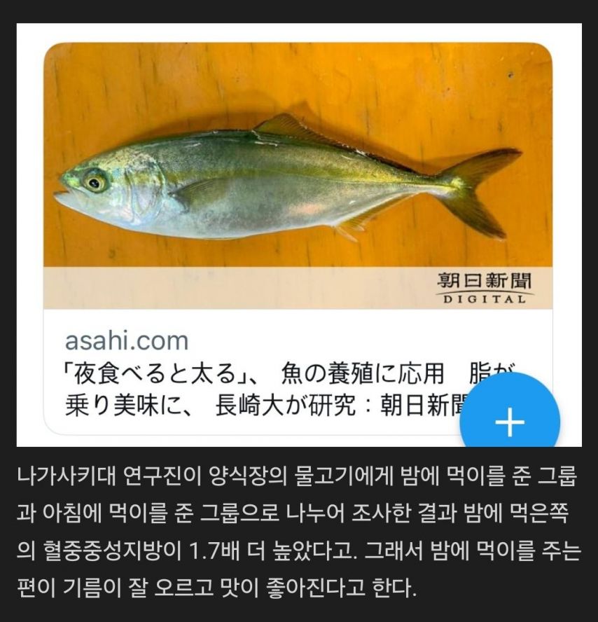 야식의 장점