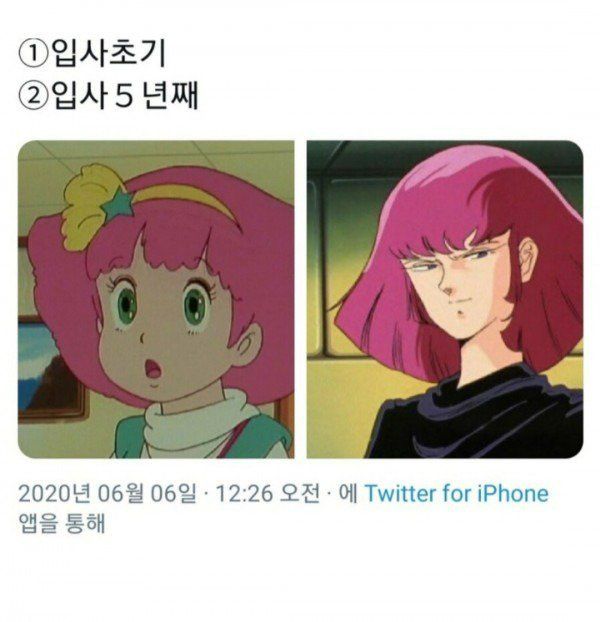 직장인들 입사 전후 차이