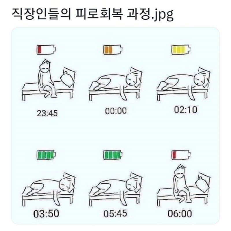 직장인들 입사 전후 차이