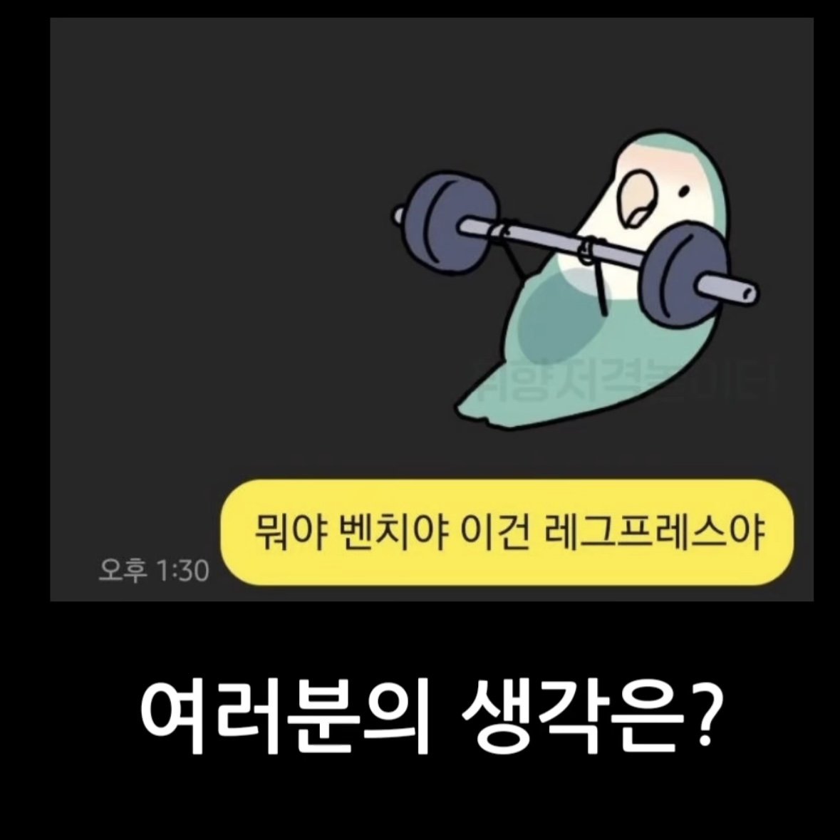 헬스인들 사이에서 논란이 된 이모티콘