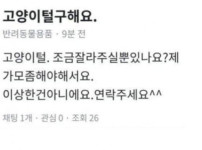 당근마켓에서 재료구하는 마녀