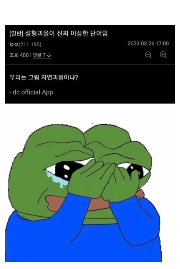 성형괴물은 진짜 이상한 단어임