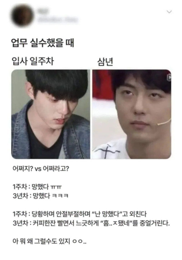 직장인들 입사 전후 차이