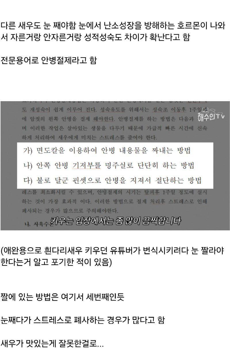 좆간이 또...타이거 새우 양식하는 방법