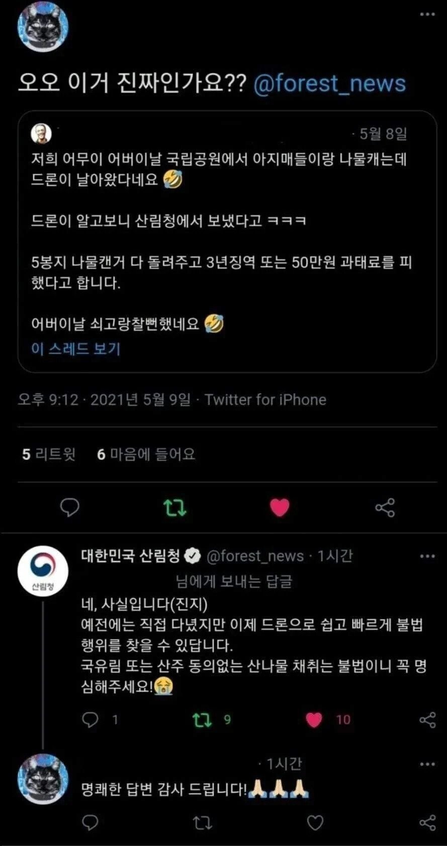 산에서 함부로 나물 캐면 안되는 이유