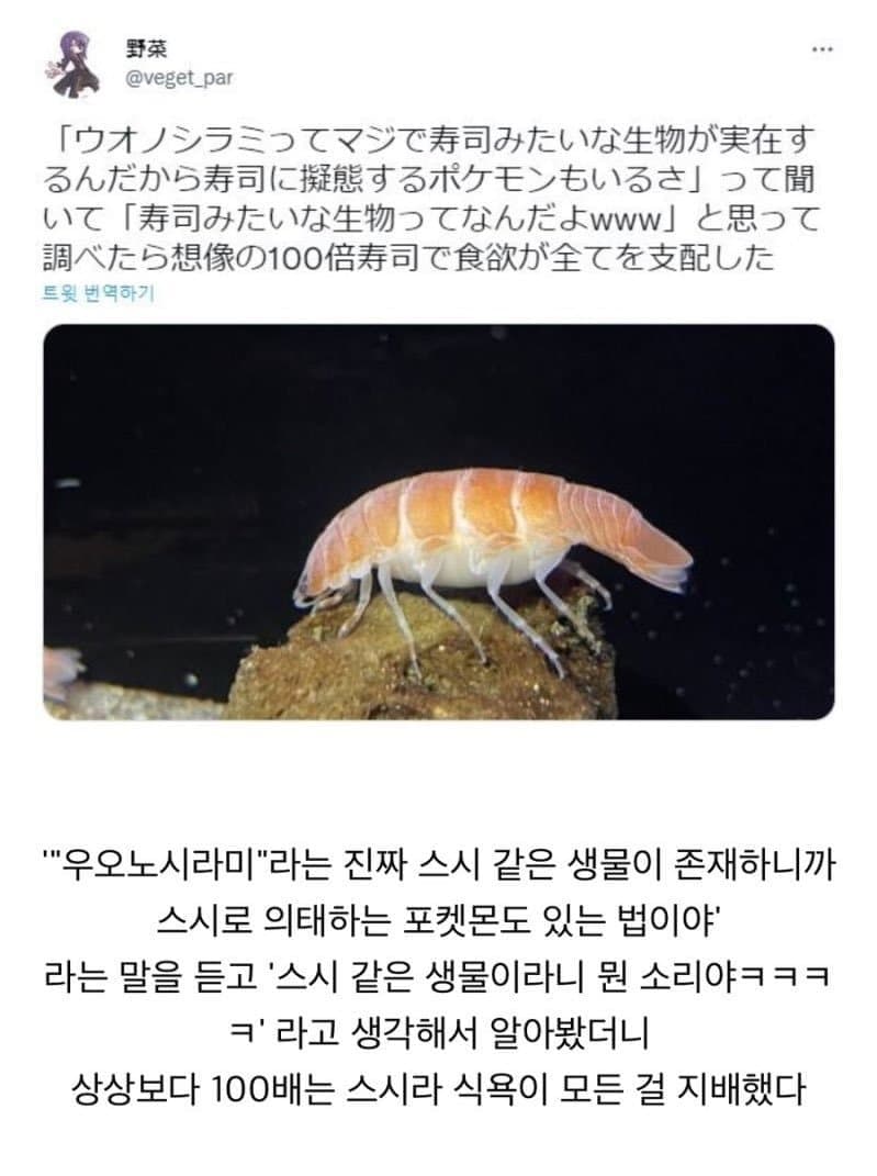 일본 바다에서 발견된 기괴한 생물