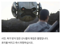 산에서 함부로 나물 캐면 안되는 이유