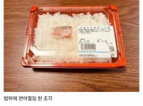 일본 초저가 도시락