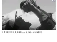 사람들이 잘 모르는 베어 그릴스의 진실