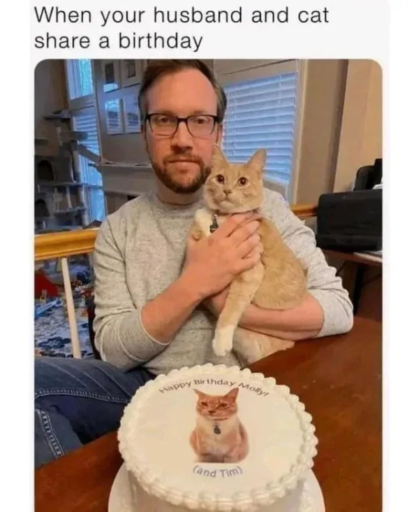남편과 고양이의 생일이 같다