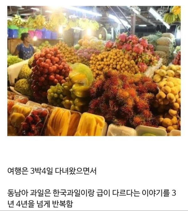 동남아 여행 만족스럽게 다녀온 사람들 특징