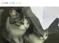 편의점을 호시탐탐 노리는 모녀 ㄷㄷ