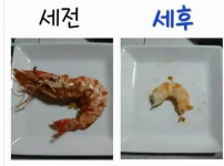 내 월급