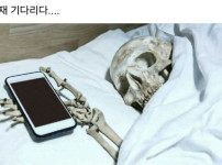 헌재 기다리다....
