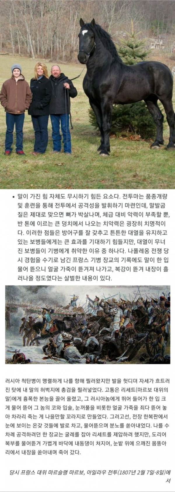 맹수에 필적하는 전투마의 포악함.
