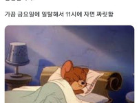 직장인 여러분 밤 10시에 한번 자보세요.