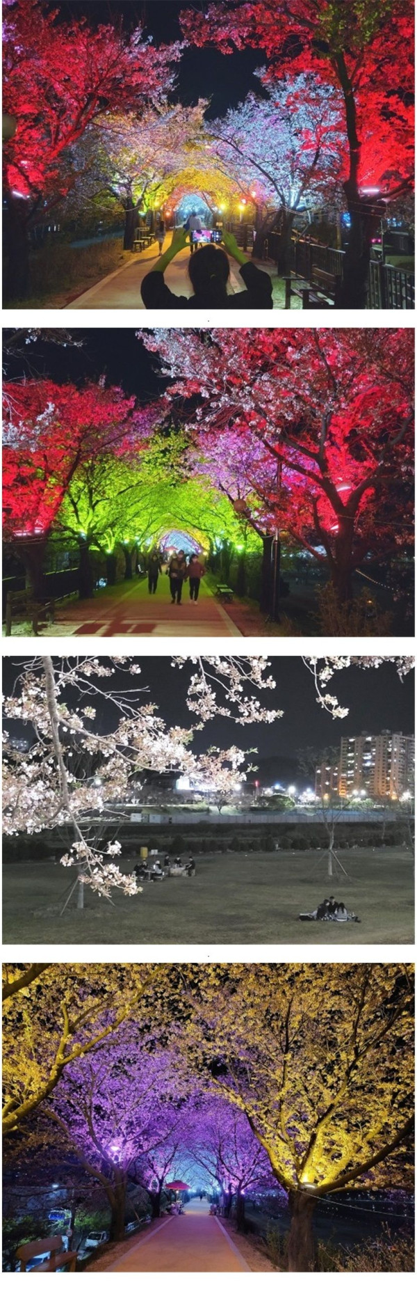 야경이 더 아름다운 영주 서천둔치.