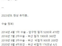 모발이식에 천만원 투자 한 38살