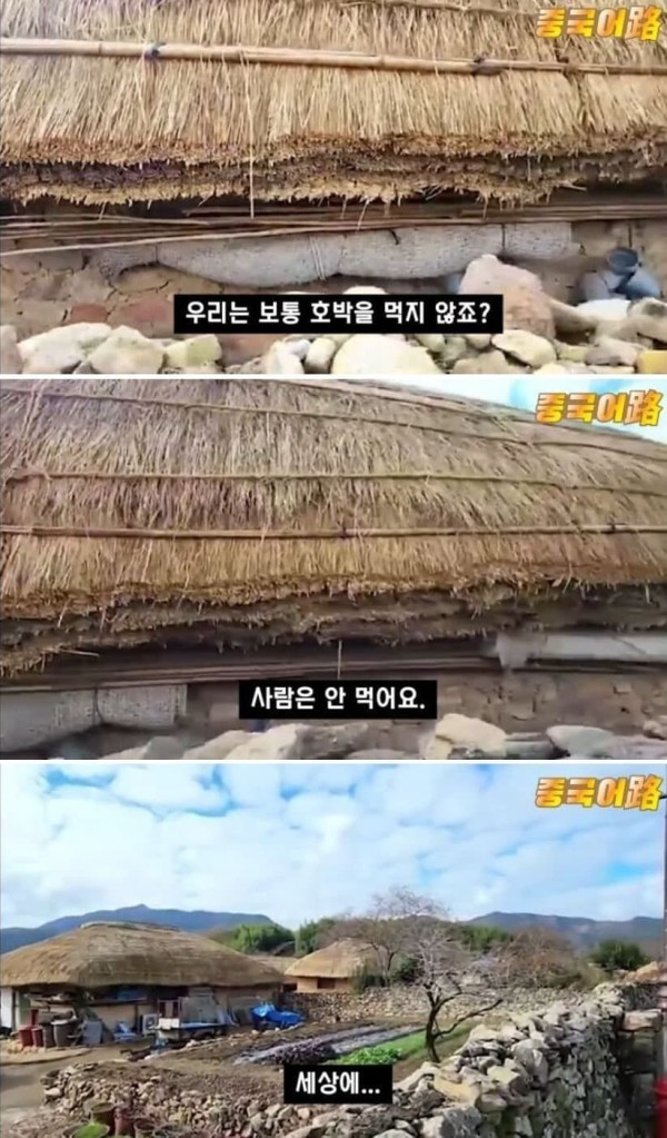 중국 국뽕 인터넷 방송인의 한국 왜곡 수준.jpg