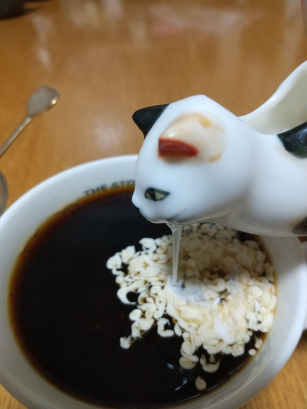 오바이트 고양이 소스통.jpg