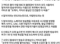 아랍에 민주주의 방송이 가능한 이유.