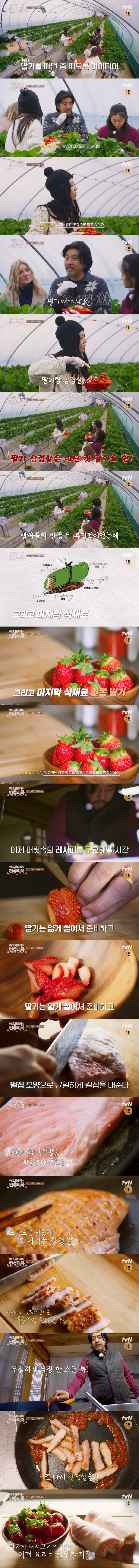 딸기 농가 살리는