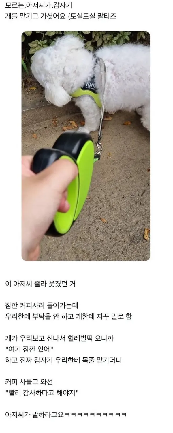 모르는 아저씨가 개 맡기고감