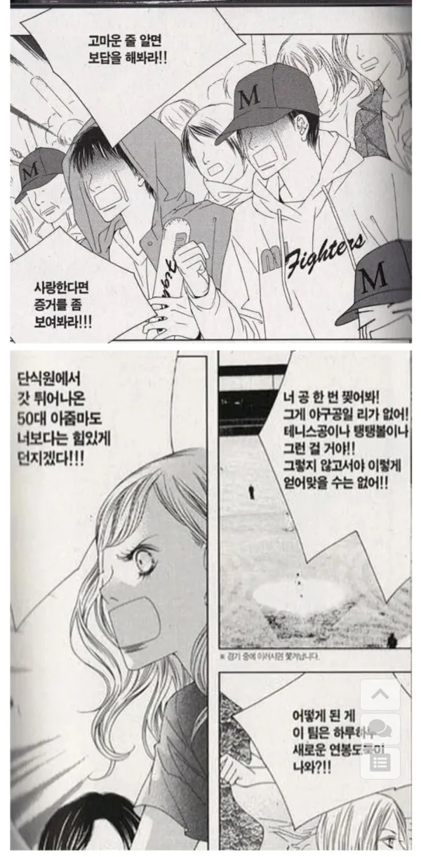 야구팬 특징