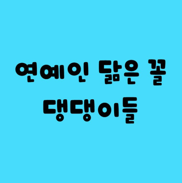 연예인 닮은 꼴 댕댕이들