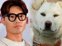 연예인 닮은 꼴 댕댕이들