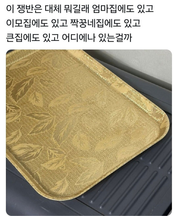 ㄹㅇ 어디에나 있는쟁반