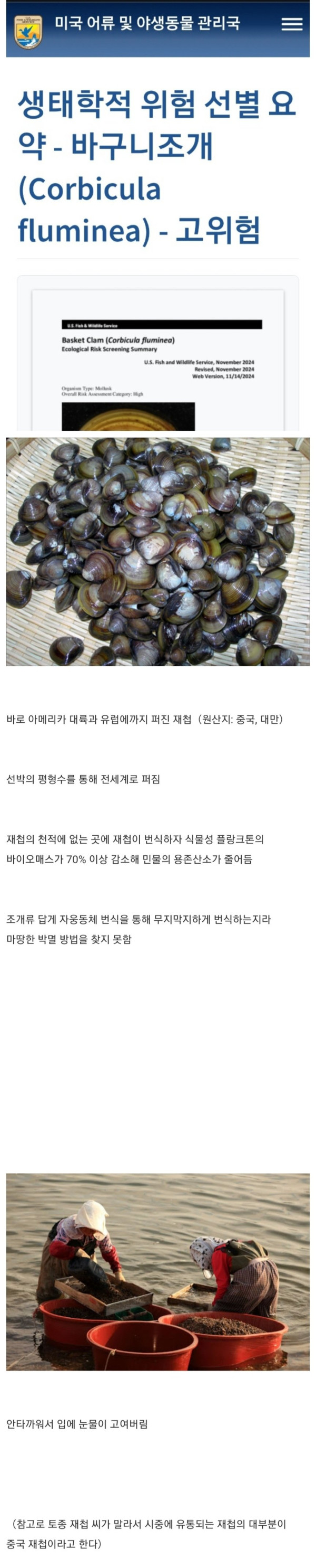 한국인 입장에서 안타까운 생태교란종