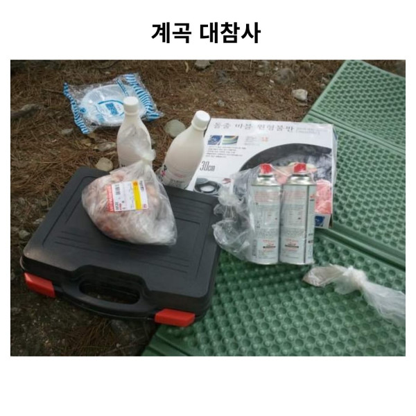 계곡 대참사