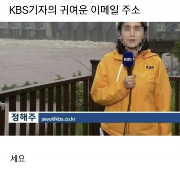정해주