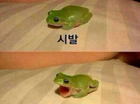 다들 주종목 뭐임