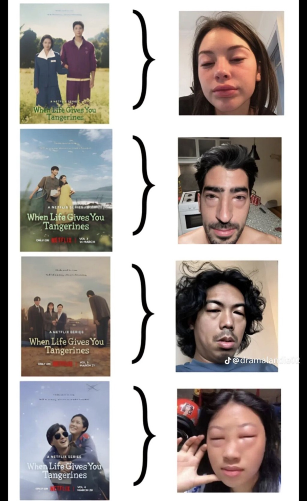 폭싹 속았수다가 터지면서 해외에서 돌고있는 짤.jpg