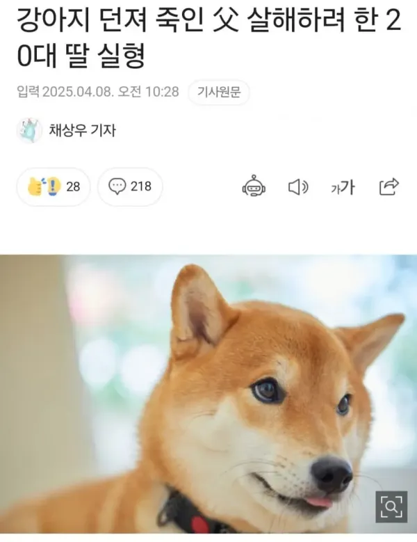 강아지 던져 죽인 父 살해하려 한 20대 딸 실형