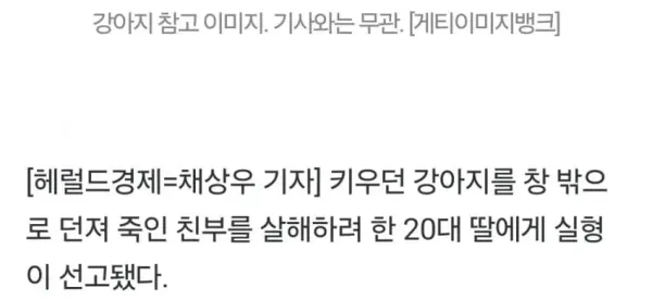 강아지 던져 죽인 父 살해하려 한 20대 딸 실형