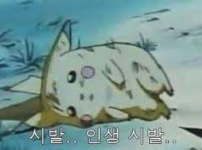 NBA 도전 후기 