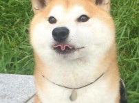 날씨 좋은데 늟어지네요;;