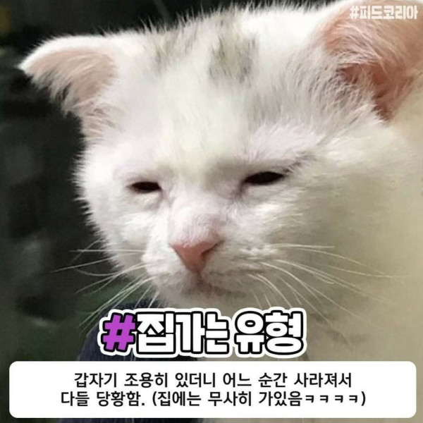술 취하면 어떤 유형이세요?