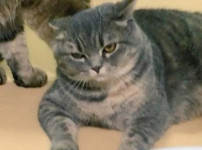 1년 사이 큰 변화